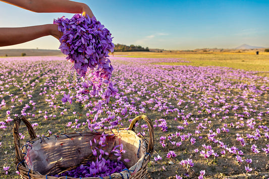 The Science of Saffron's Flavor