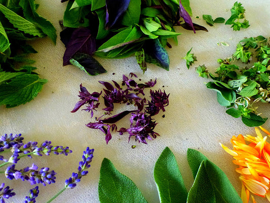 Herbal Essences and Mental Benefits