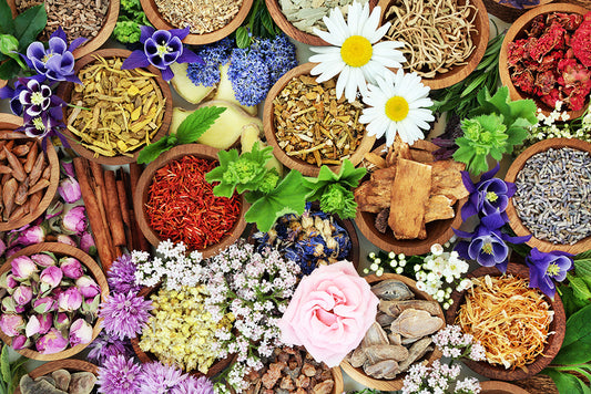 What are the benefits of herbal ingredients in modern diets?